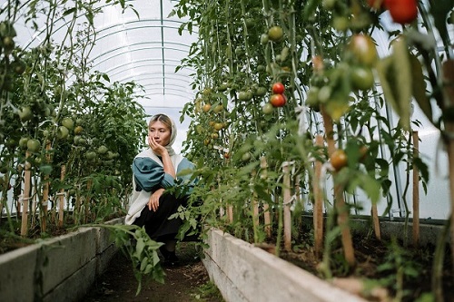 Les avantages du jardinage pour la santé