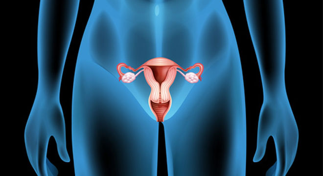 Symptômes d’une infection vaginale à levures
