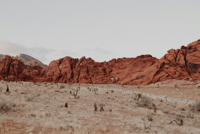 Photographie de paysages désertiques