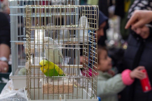 Housse De Nuit Pour Cage Oiseau - Tissu Respirant Et Imperméable, élimine La Lumière Pour Un Sommeil Paisible