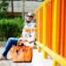 couleurs vives