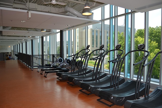 équipements de fitness