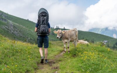 voyage vegan