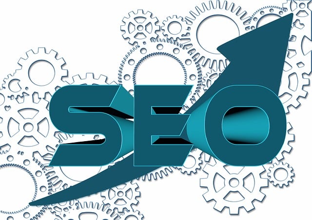 SEO interne ou expert : quelle solution choisir ?